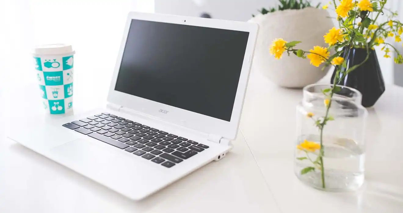 Ремонт ноутбуков Acer в Архангельском