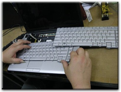 Ремонт клавиатуры на ноутбуке Toshiba в Архангельском