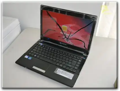 Замена матрицы Packard Bell в Архангельском